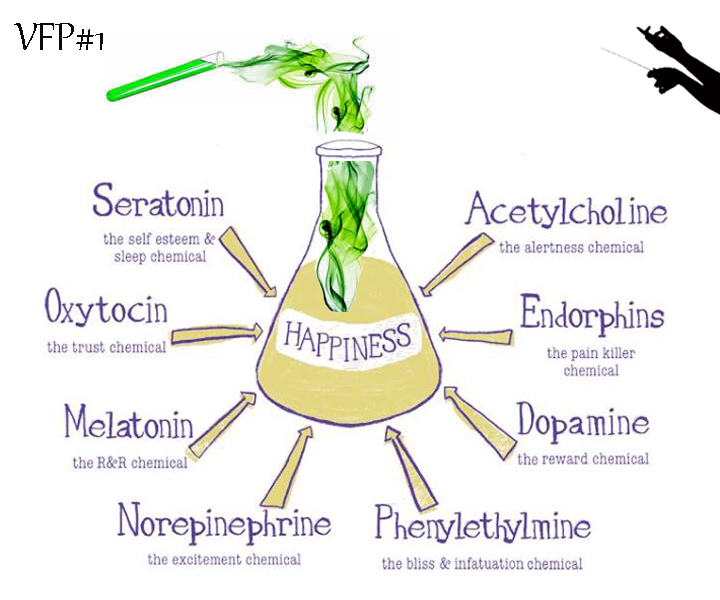 hormones-that-make-you-feel-great