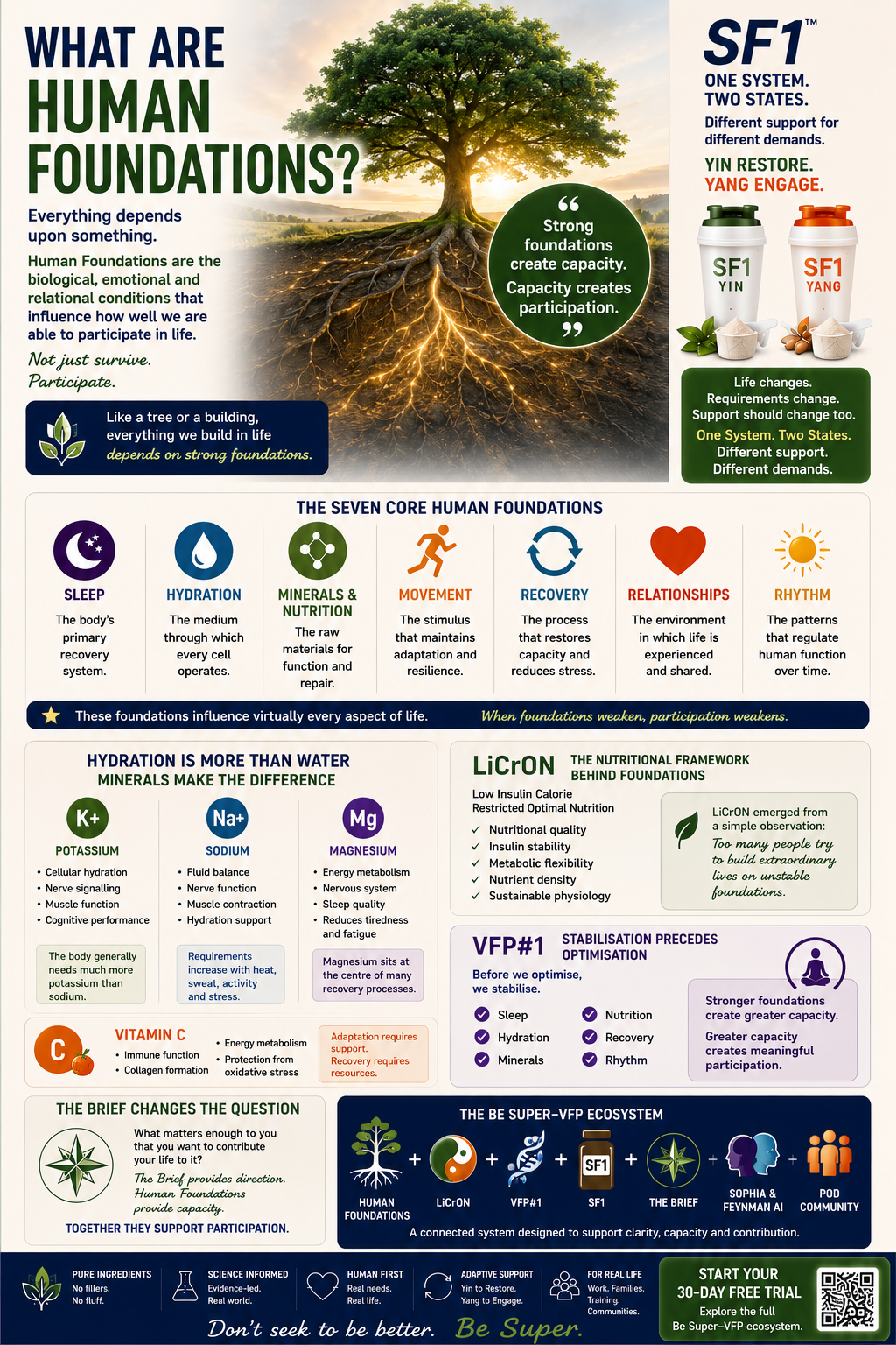 SF1 What are human foundations